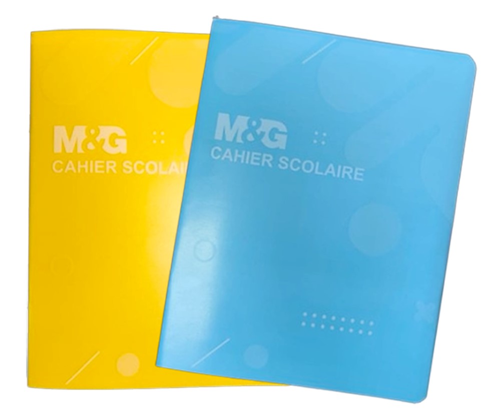 Cahier scolaire 96p SEYES PF Protège plastique